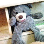 jarvis - Instagram Profile Picture of jarvis (@jarvismorrison123454) on Instagram