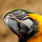 Profile Picture of Mike Hanna (@mikehanna4) on Flickr