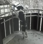 Profile Picture of Herbert Baars (@herbert.baars) on Facebook