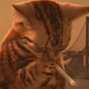 Profile Picture of Pederiva G (@pederivag1893) on Youtube