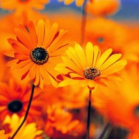 Profile Picture of Jean Haznar (@jean-haznar) on Quora