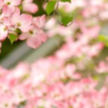 Profile Picture of Karen Austin (@truefoodcoach) on Pinterest