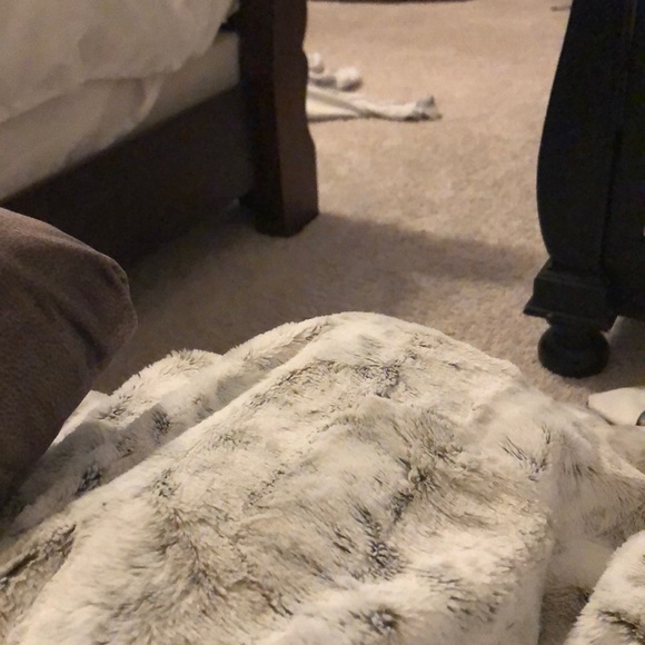 Profile Picture of Sarah Bangert (@sarah179) on Poshmark