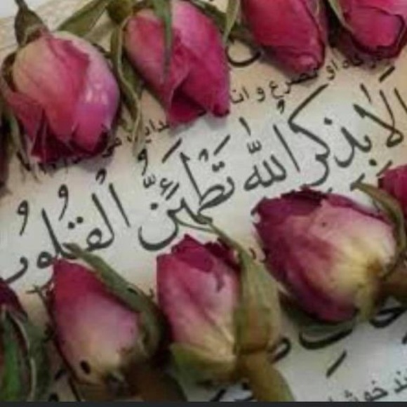 Profile Picture of Naglaa Hasan (@naborawash) on Poshmark