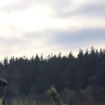 Profile Picture of Mark Olsen (@mark_olsen_24) on Instagram