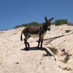 Profile Picture of Mike E. Mazzola (@mikeemazzola) on Instagram