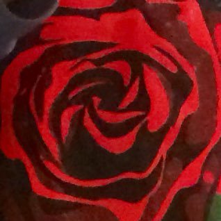 Profile Picture of Curtis Whitaker (@curtisw84661108) on Twitter