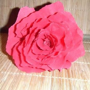 Profile Picture of Erin Brumfield (@ecbrumfield) on Myspace