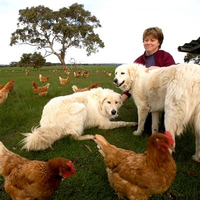 Profile Picture of Kathy Barrett (@KathyBarrett5) on Twitter