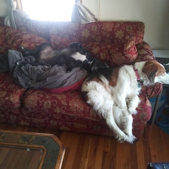 Profile Picture of Jeni Harris (@jeniharris) on Poshmark