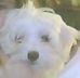 Profile Picture of Kevin Goldfarb (@kevin.goldfarb.1) on Facebook