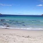 Profile Picture of Debbie McGinniss (@debbie.mcginniss) on Instagram