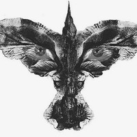 Profile Picture of Michael Venturino (@michael-venturino) on Quora