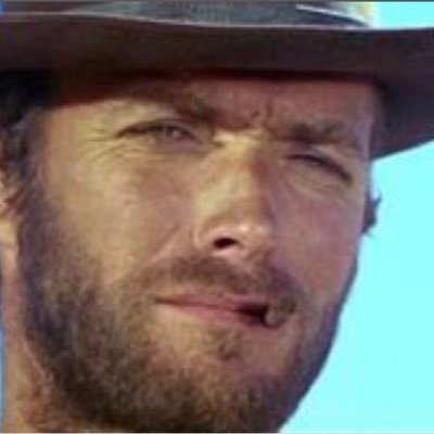 Profile Picture of Dan Lavi (@dan_lavi) on Twitter