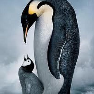 Profile Picture of Joseph Robison (@Joseph_Robison) on Twitter