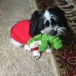 Profile Picture of Andrew Landrum (@andrews__drawings12) on Instagram