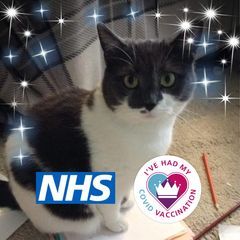 Profile Picture of Marilyn Satchwill (@marilynsatchwill) on Tiktok