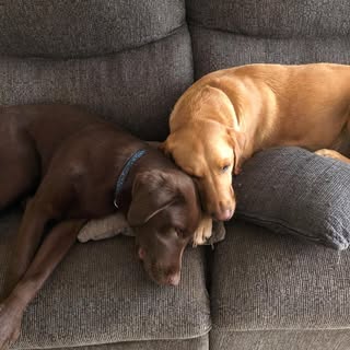 Profile Picture of Kevin Grimshaw (@kevin.grimshaw) on Instagram