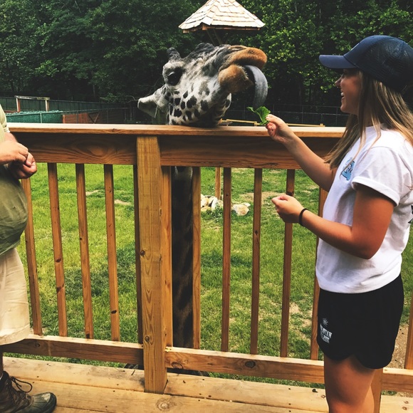 Lexi Fabey - Poshmark Profile Picture of Lexi Fabey (@lexi0202) on Poshmark