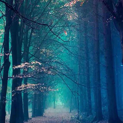 Profile Picture of Danyel Jones (@danyeljones04) on Twitter