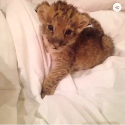 Profile Picture of John (@utt4life) on Twitter