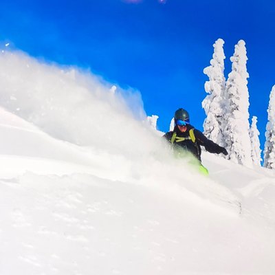 Profile Picture of Craig Bentham (@drbentham) on Twitter