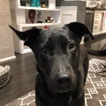 Profile Picture of Jason Brydges (@j_rbrydges) on Instagram