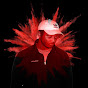 Profile Picture of George Tyler (@@Falconfir) on Tiktok