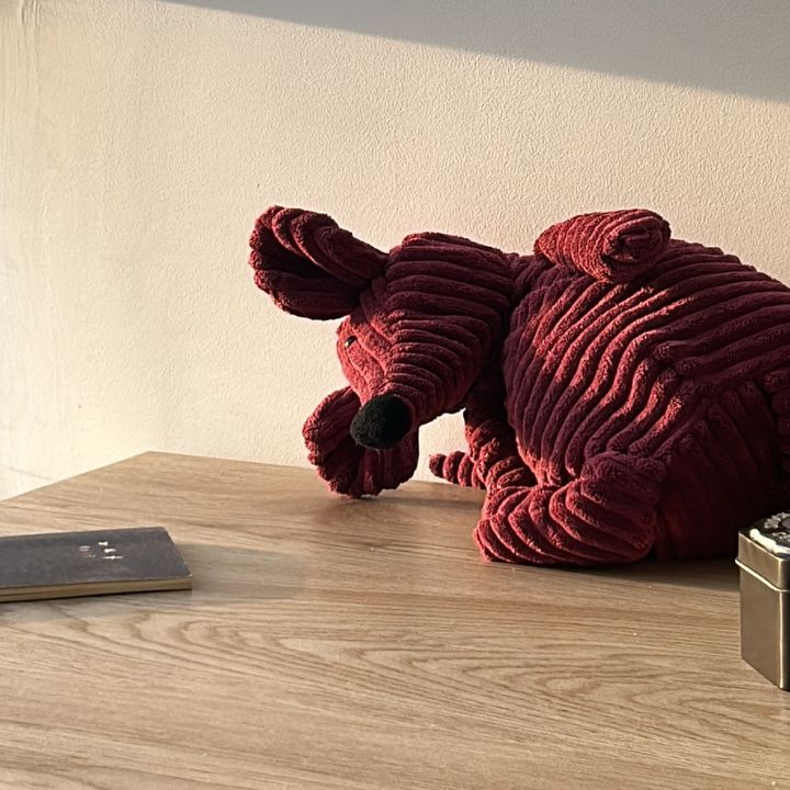 Profile Picture of Alice (@alicejaimess) on Tiktok