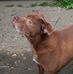 Profile Picture of John Cuthbert (@john.cuthbert.75) on Facebook