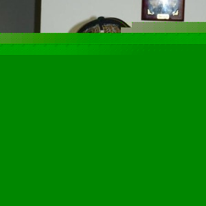 Profile Picture of Andrew Albarran (@doublea0423) on Myspace