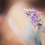 Profile Picture of Raymond Gustafson (@raymondgustafson) on Instagram