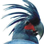 Profile Picture of Isabella Harrison (@isabellaharrison314) on Youtube