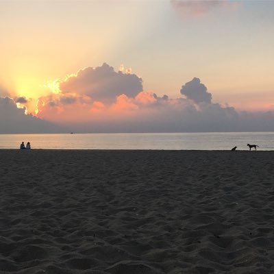 Profile Picture of Frank Lemma (@franklemma) on Twitter