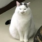 Profile Picture of Brian Brian (@zeck9527) on Instagram