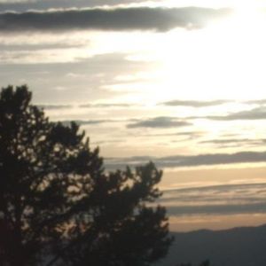 Profile Picture of Quinn Nelson (@quakquak6) on Myspace