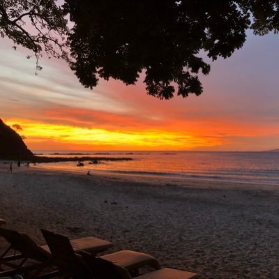 Profile Picture of Go For 4th &1 Manny (@weinstein_ian) on Twitter