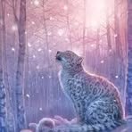 Profile Picture of Allison Steiner (@allison.steiner.559177) on Facebook