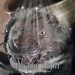 Profile Picture of Daniel Joshua Penkoff (@daniel_j_penkoff) on Instagram