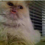 Profile Picture of chase_ramsey_ (@chase_ramsey_) on Instagram