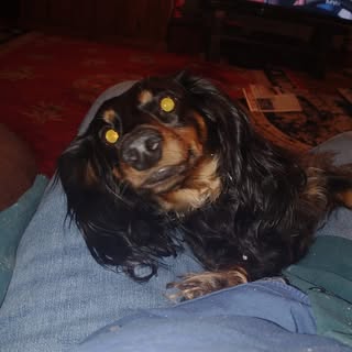 Profile Picture of Stephen Spofford (@steve.spof) on Instagram