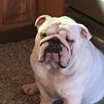 Profile Picture of Rick Wetherington (@rick_wetherington) on Instagram