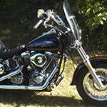 Profile Picture of Robert Morse (@robert.morse.374) on Instagram