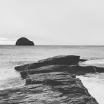 Profile Picture of Rob Neale (@robneale._) on Instagram