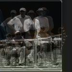 Profile Picture of Steve (@pickleballart) on Instagram