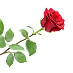 Profile Picture of Ellen Steffin (@ellen.steffin.1) on Facebook