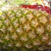 Profile Picture of Camden Davis (@camdendavis8079) on Youtube