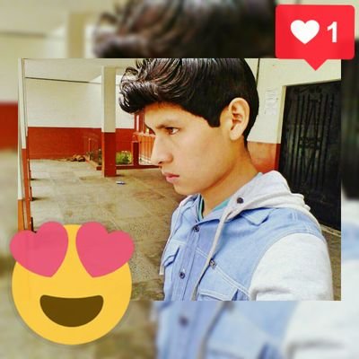 Profile Picture of Steven Nicolai (@StevenNicolaii) on Twitter