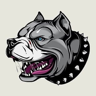 Profile Picture of Aaron Richter (@AaronRi71181555) on Twitter