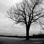 Profile Picture of David Polston (@dhpfreelance) on Instagram